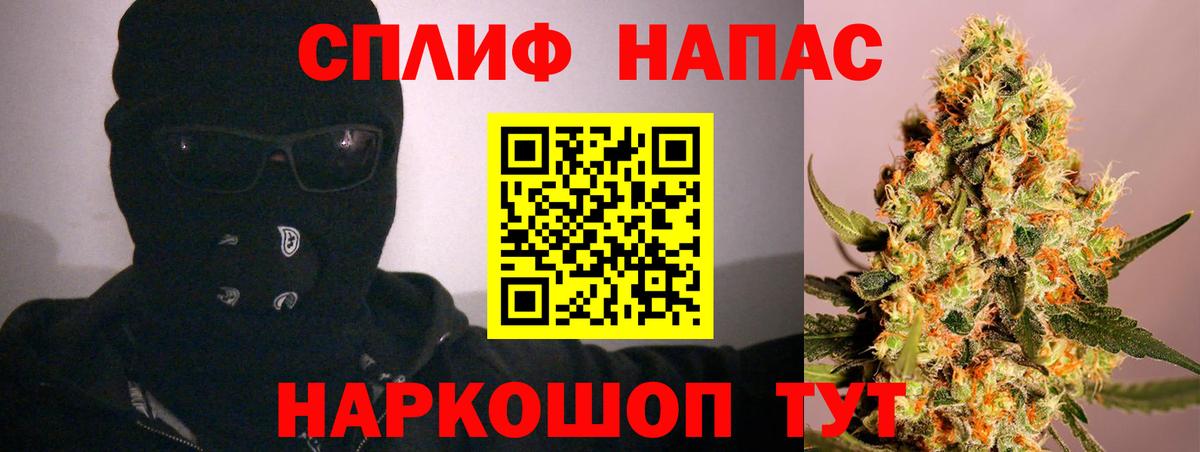 Канабис сатива Кириши